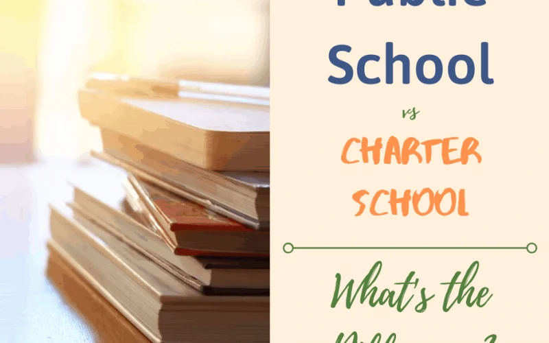 charter school vs public school