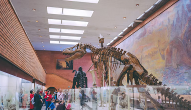 Colleges for Paleontology