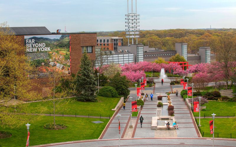 stony brook acceptance rate