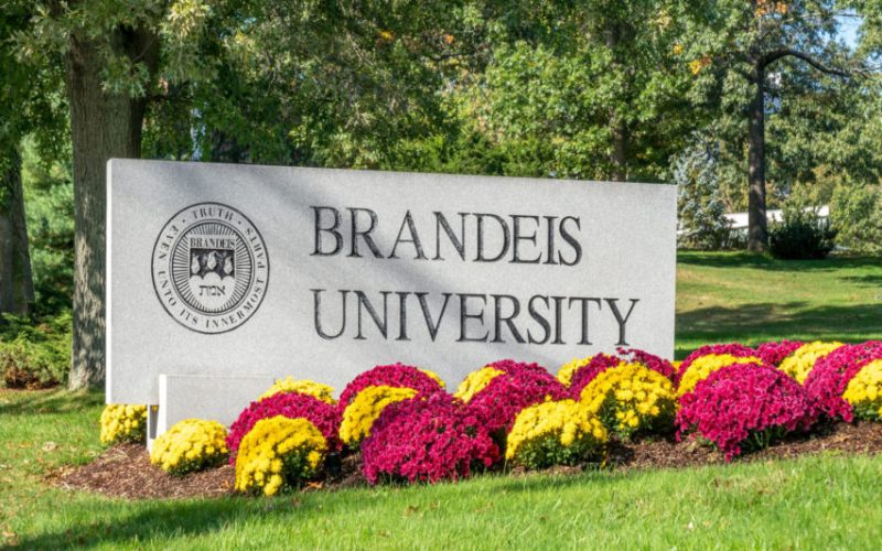 Brandeis acceptance rate