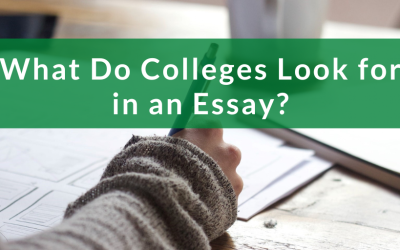 What Do Colleges Look For In Essays