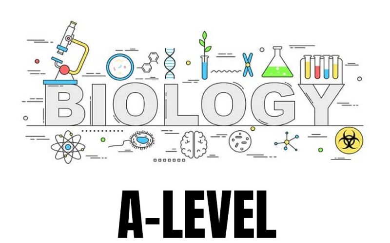 is a level biology hard