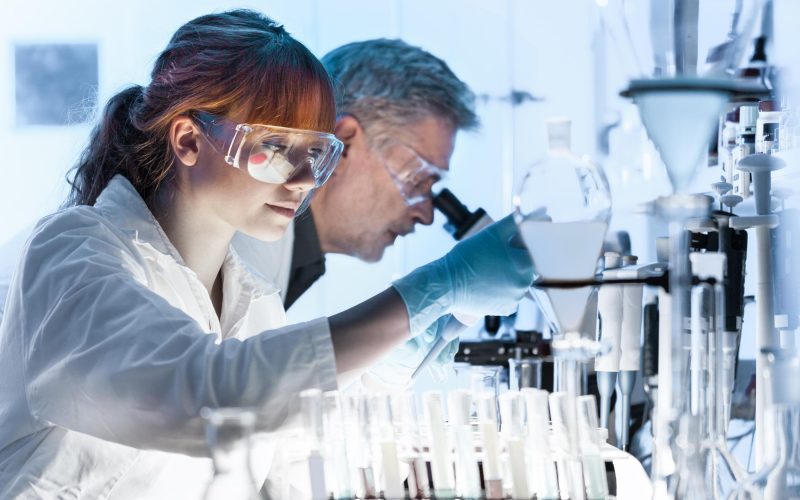 Careers You Can Pursue With a Bachelor's degree in Biology
