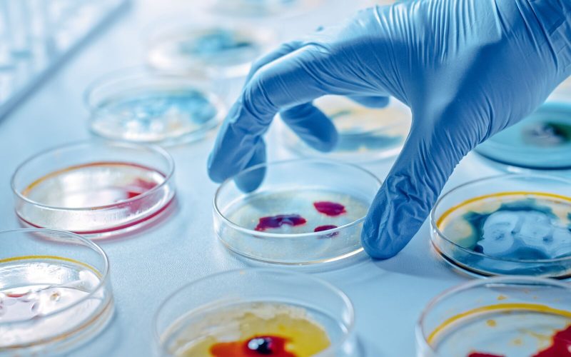 microbiology courses