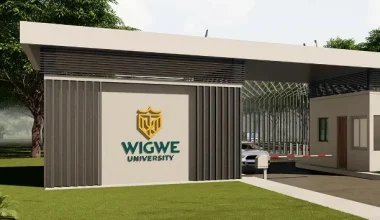 wigwe university school fees