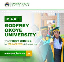 godfrey okoye university courses and fees