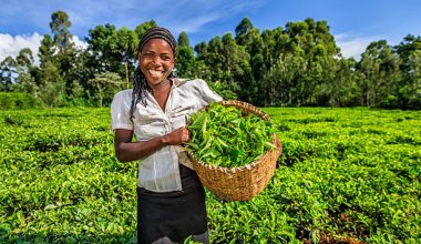 agriculture courses in Kenya