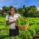 agriculture courses in Kenya