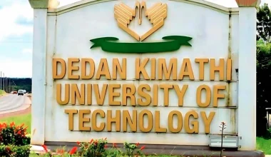 dedan kimathi university courses