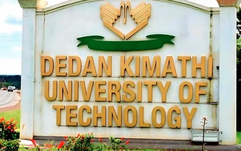 dedan kimathi university courses