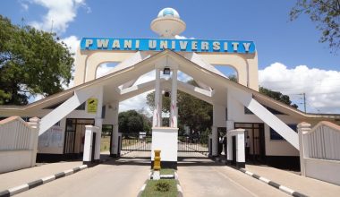 pwani university courses