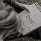 Curriculum to Compassion
